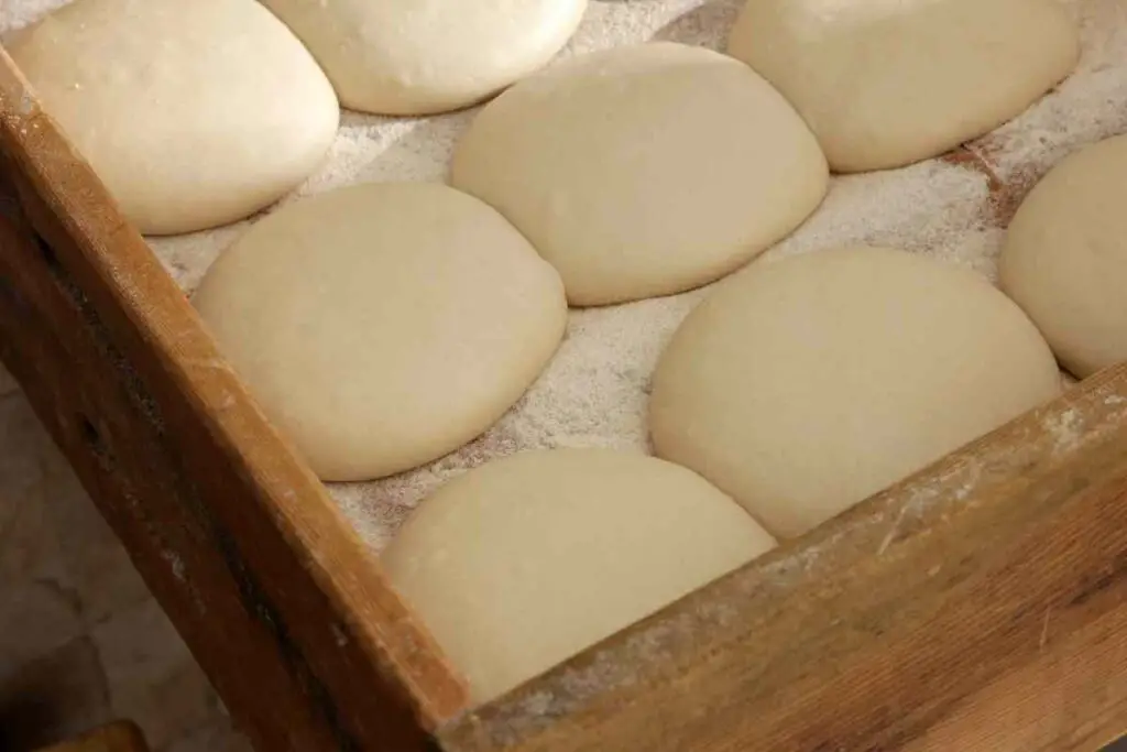 Should you Freeze Pizza Dough before or after it rises?