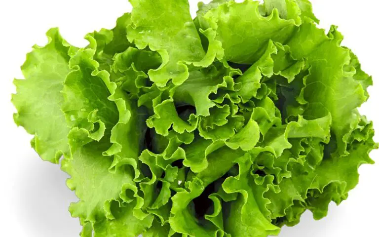 Does Dollar General Sell Lettuce? (Explained)