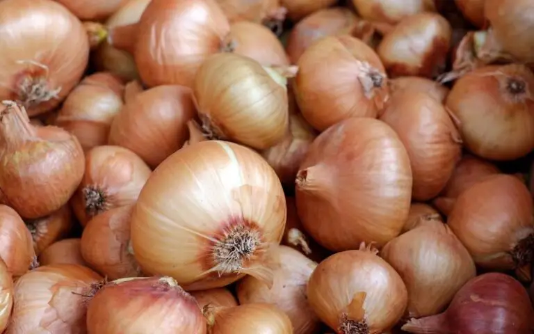 These Are The Best Onions For Pizza!