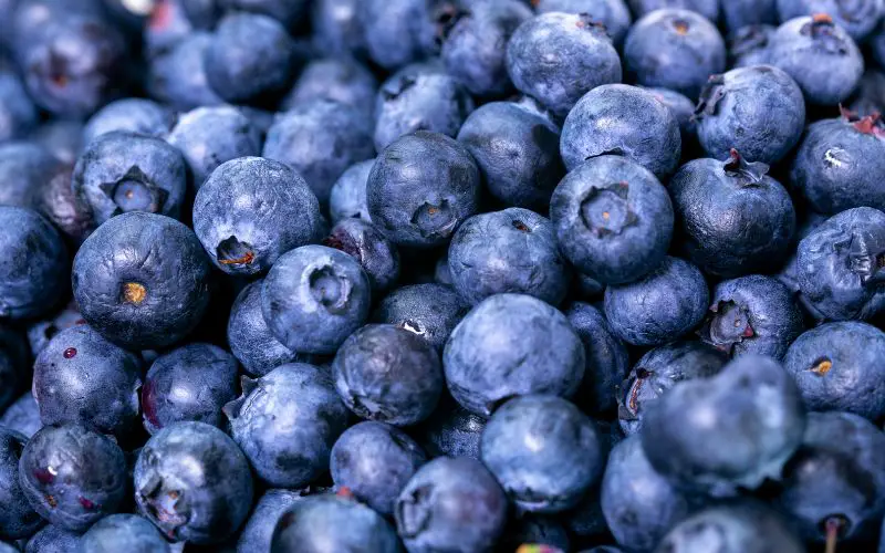 How Many Cups of Blueberries in a Pint