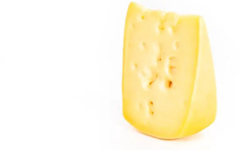 What is Part Skim Cheese? (Everything You Should Know)