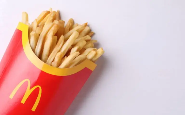 Are McDonald’s Fries Vegetarian? (Must Know This)